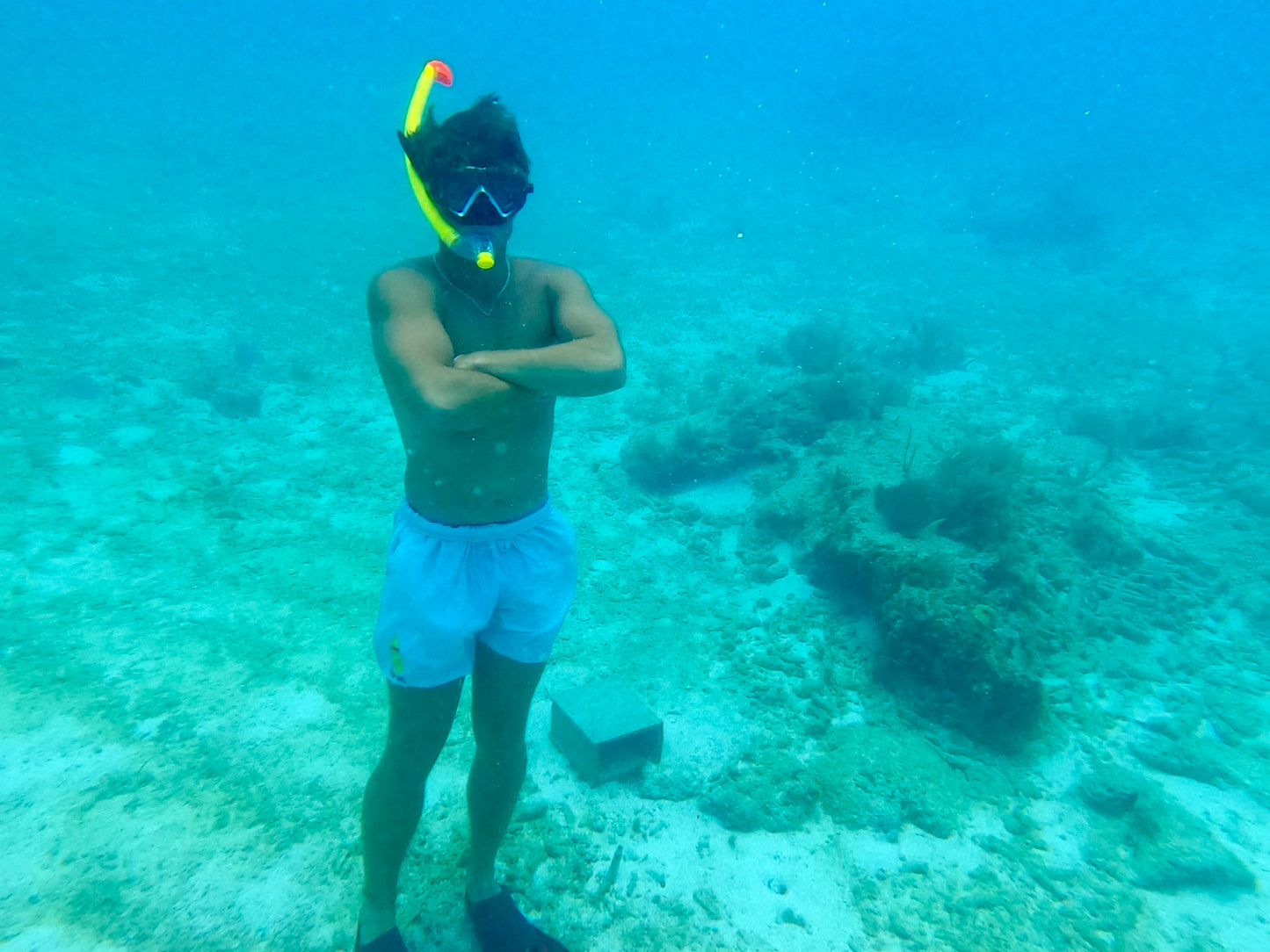 Six-Shooter Banana 5" Eco-Friendly Short